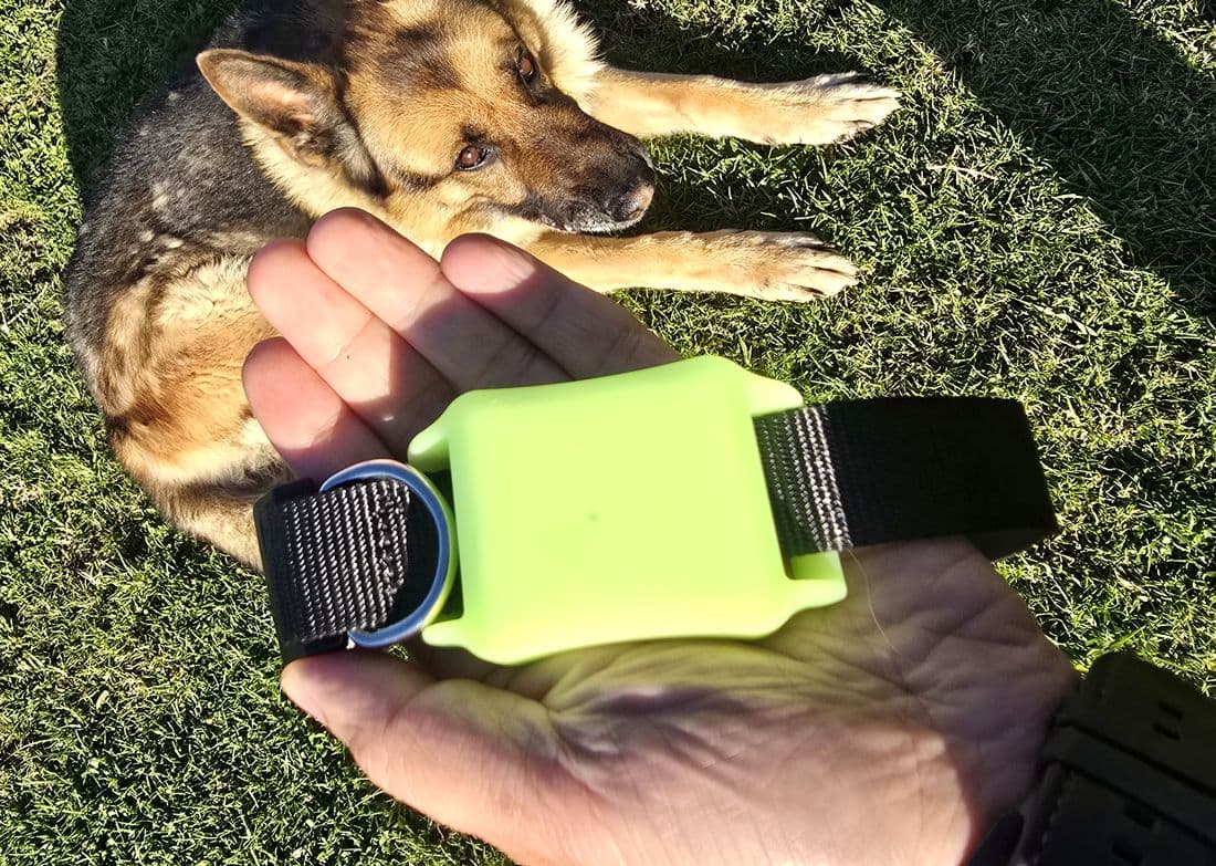 In a hand, for scale